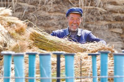 河北省滦南县发展稻草编织业