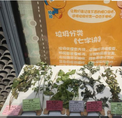 上海虹旭小区2000人都在做垃圾分类