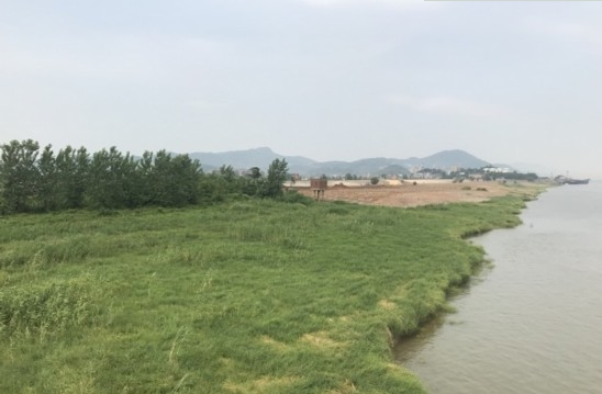 瑞昌:严惩非法码头 打造长江“最美岸线”