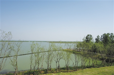 合肥加快恢复巢湖湿地