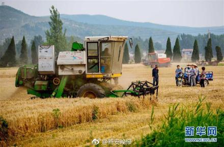 将秸秆焚烧火点巡查工作纳入安徽省督查重点内容