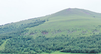 河北丰宁:千松坝上松成林