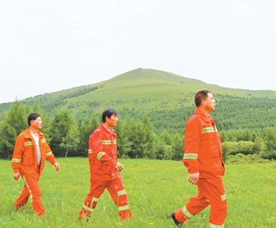 河北丰宁:千松坝上松成林