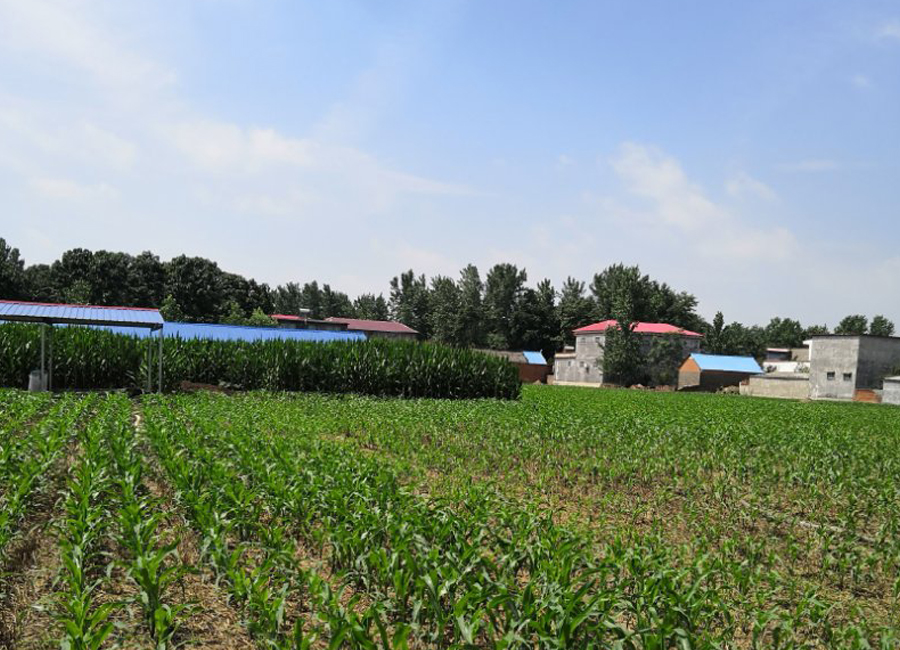 河南:蓝天白云下的周口 独具魅力的背后