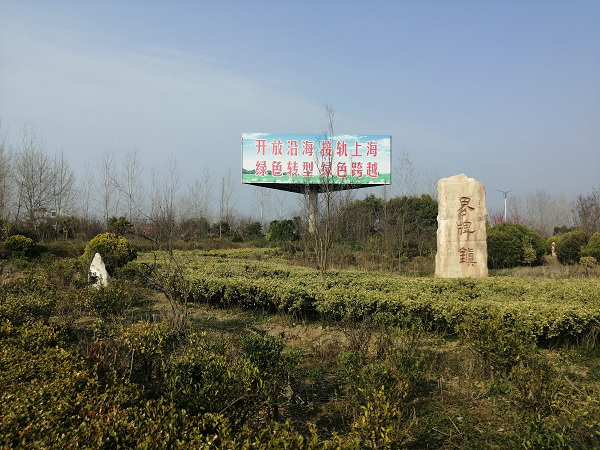 江苏省滨海县界牌镇聚焦生态文明发力城市创建