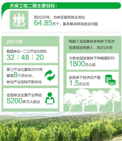 白建国：我的林子越来越密（美丽中国·天保20年②）