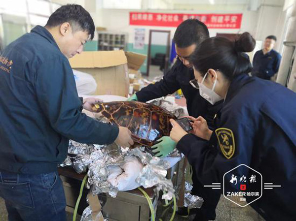 標(biāo)本用棉被、塑料布及錫紙進(jìn)行多層包裹西寧排污許可證代辦公司