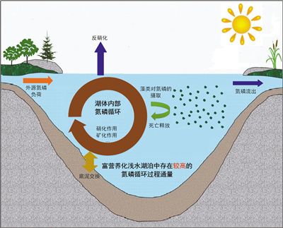 提升水资源 改善滇池水质