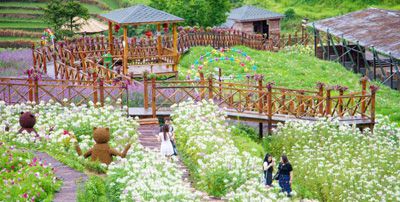 浙江文成全面实施“山水乐园”发展战略 刘进希 潘晓静
