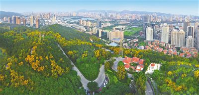福建:“绿色引擎”激活发展新动能