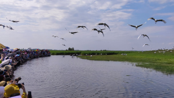 鹤岗部署生态环境保护督察整改工作