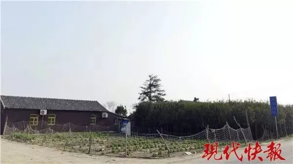 保护区麋鹿被网绳勒死 20多头曾被困:种植户设拦网