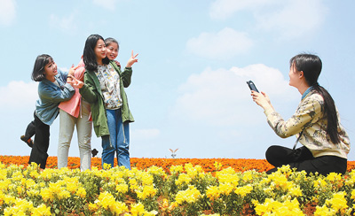 梅湖美了 春天来了