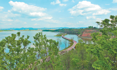 成都兴隆湖有个天然“净水器”