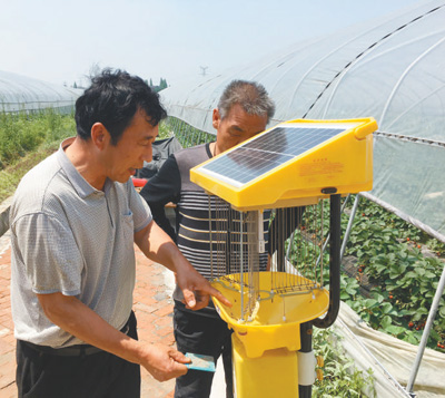 绿色高招 防治虫害