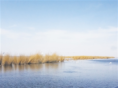 乌梁素海的“前世今生”