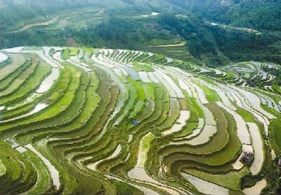 贵州梯田美如画