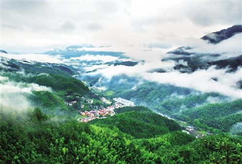江西靖安：鱼翔浅底  绿水青山