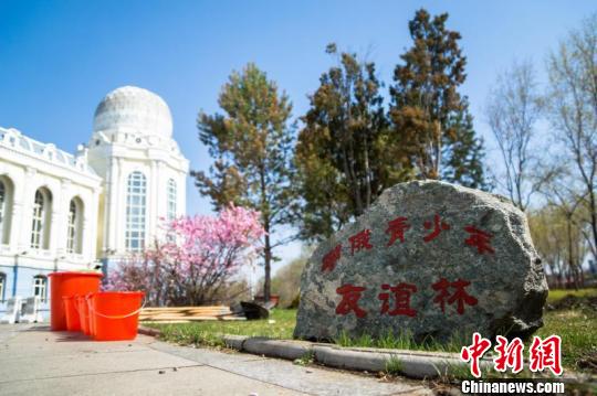 中俄青少年共植友谊林：国际友谊世代长青