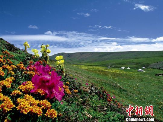 最新监测：三江源地区生态退化趋势得到初步遏制