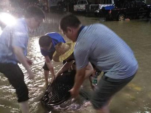 广东阳西特大暴雨致5万人受影响 损失9525万元