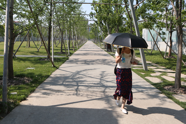 上海“雨水花园”既蓄水还能净水泄洪