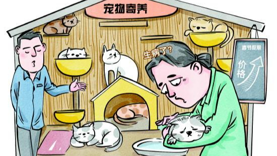 记者调查春节假期宠物寄养市场现状