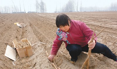 我国南方12省土地沙化 湖北7万农民旱季无水喝