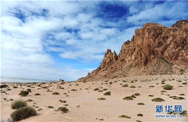 新疆阿尔金山保护区抓获非法入区人员10名，案件正处理中